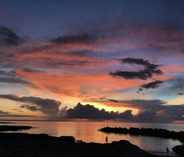 SUNSET DRIVE LIVING - Photo 1