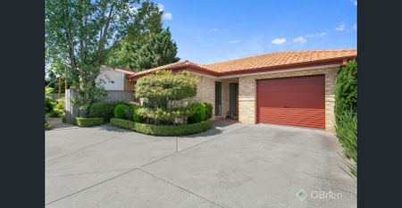 Let me entertain you! - Photo 2