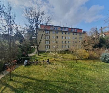 Südlich ausgerichtete Balkonwohnung mit Gartenblick - großzügige Ra... - Photo 2
