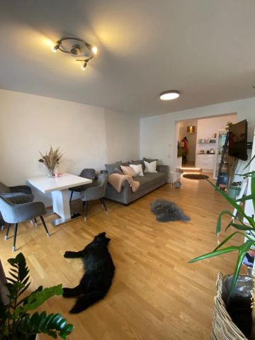 Einzigartige 2-Zimmer-Wohnung in top renoviertem Altbau mit Terrasse + Balkon und möblierter Küche im Stadtzentrum von Schärding - Foto 4
