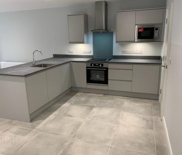 14a Balmoral Gate, Stockmans Lane, Belfast, BT9 7JA - Photo 4