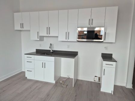 Appartement à Montréal (Le Sud-Ouest) - Photo 2
