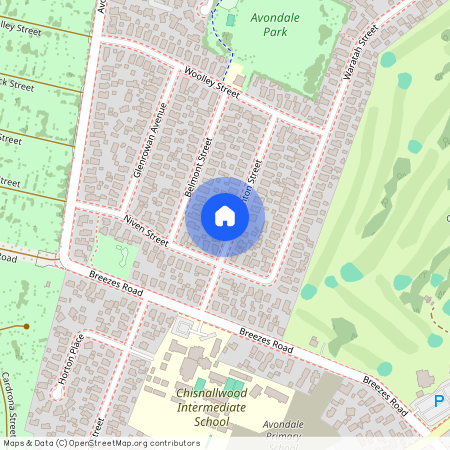 11 Eglinton Street, Avondale