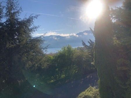 21/2-ROOM APARTMENT IN GWATT (THOUNE), FURNISHED, TEMPORARY - Photo 5