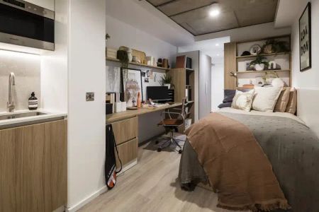 Silver Studio - Standard View | Lower Level - Photo 5