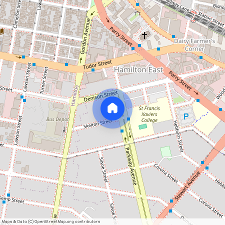 36 Skelton Street, Hamilton East, NSW 2303