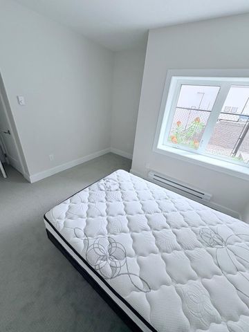 Brand New walkout in Black Mountain - Photo 2