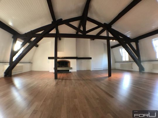 Superb atypical penthouse in the Vieux-Carouge - Photo 1