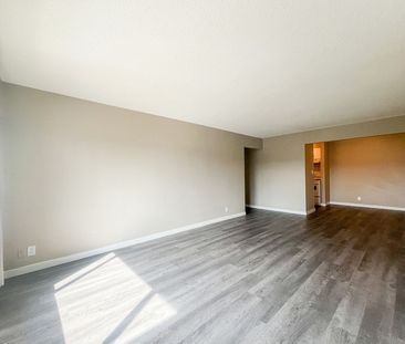 Mainstreet Central Apartments - Photo 5
