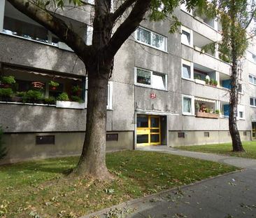 Butzstr. 44, 44359 Dortmund OT Nette - Foto 5