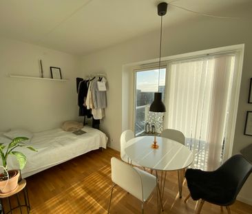 Idéel singlelejlighed - Photo 1