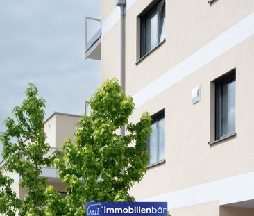 Wohnen im Zentrum - Traumhafte großzügige 2 Zimmerwohnung mit große... - Foto 2