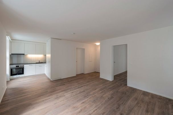 Zürich von seiner schönsten Seite - Foto 1
