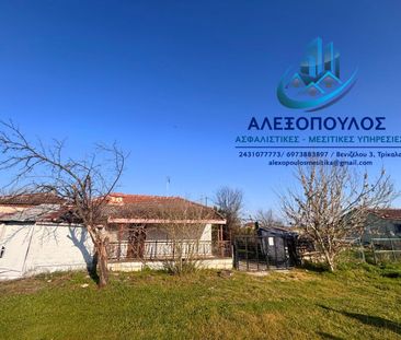 Μονοκατοικία για ενοικίαση Φανερωμένη (Πελλιναίο) - Photo 4