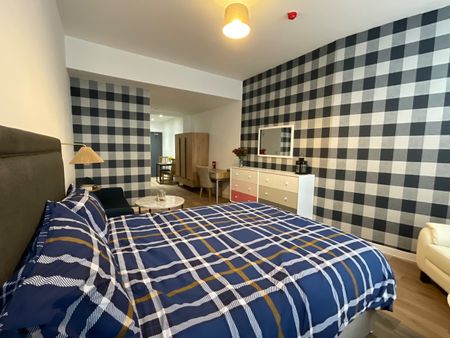 Studio Flat, London Road, L3 - Photo 4