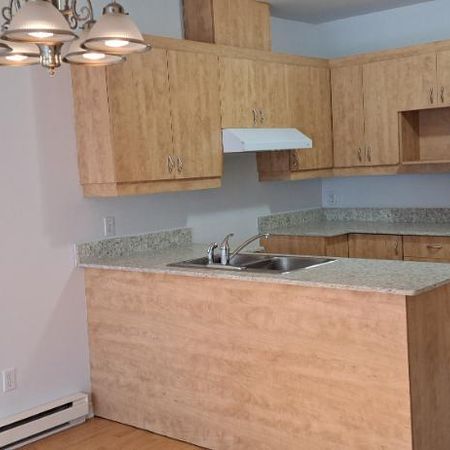 4 ½ RENOVER, Saint-Eustache avec clientèle établi de 55+ ans - Photo 4