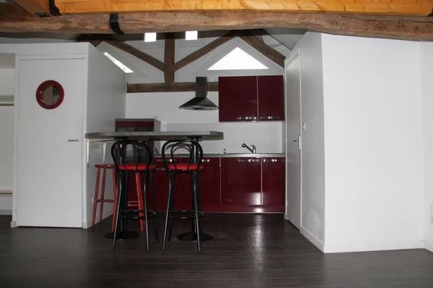Location Appartement 1 pièce 29m² TOURNAN EN BRIE 77220 - Photo 1