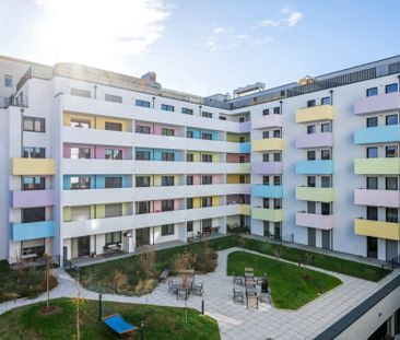 Moderne 2-Zimmer Wohnung mit Balkon ab 01.11. - Photo 3