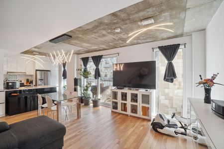 Condo for rent, Montréal (Rosemont/La Petite-Patrie) - Photo 2