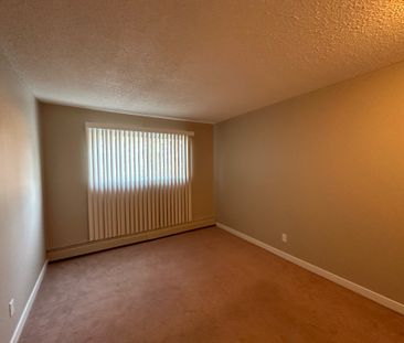 Spacious 2 Bedroom Cat Friendly Suite in Clearview! - Photo 4