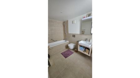 3½ Zimmer-Wohnung in Schneisingen (AG), möbliert, auf Zeit - Photo 5