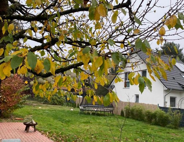 vermiete meine 1-Zimmer-Wohnung in Charlottenburg - Photo 1