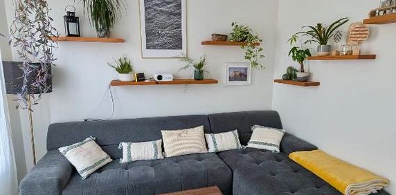 Charmant 4 1/2 au cœur du Plateau Mont-Royal - Photo 2