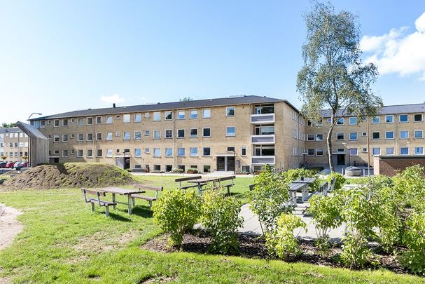 Afd. 24 Ungskuepladsen - Foto 1