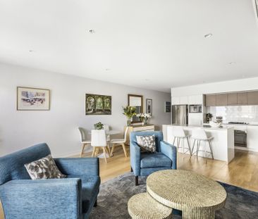 213/43 High Street, Glen Iris - Photo 5