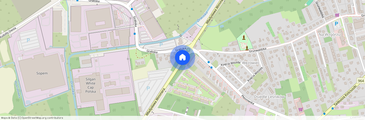 ul. Władysława Wimmera, Niepołomice, Niepołomice, wielicki, małopolskie