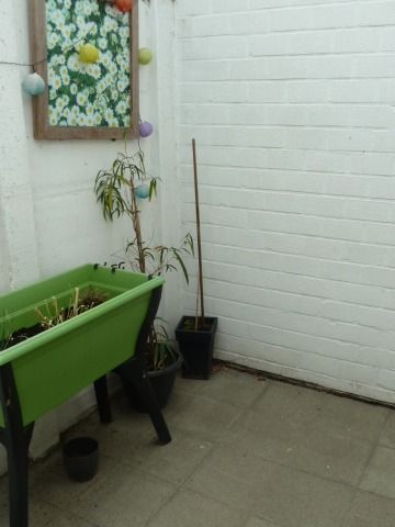 Gelijkvloers appartement te huur in Sint-Eloois-Vijve - Photo 3