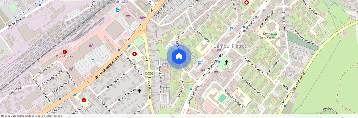 Mures, Targu Mures