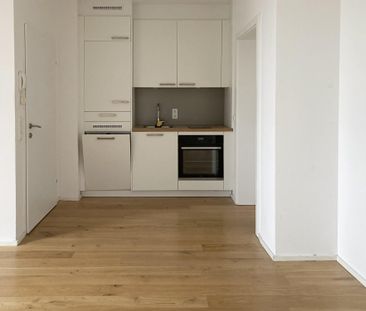 Erdgeschosswohnung | Linz-Urfahr | 1 Zimmer-Wohnung mit Eigengarten - Foto 1