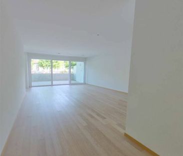 2.5 Zimmer, Untergeschoss - Photo 2
