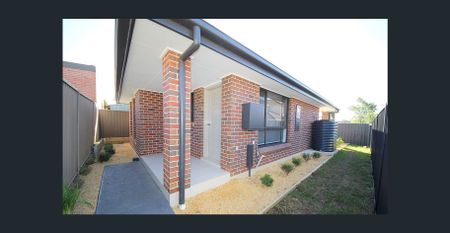 Bright & Spacious Granny Flat - Photo 4