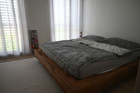 31/2-ROOM APARTMENT IN THALWIL (ZH), FURNISHED, TEMPORARY - Photo 3