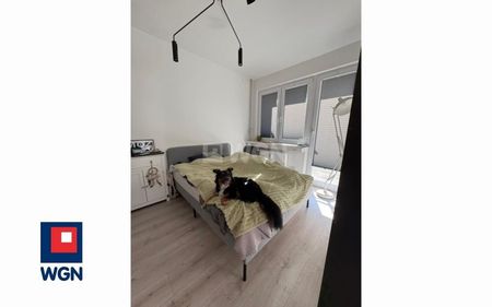 Mieszkanie na wynajem Szczecin - Centrum 4 pokoje przy Glaxy - Фото 4