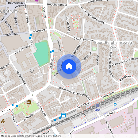 Koningsloper 419, Berghemseweg-Zuid, 5348KS, Oss