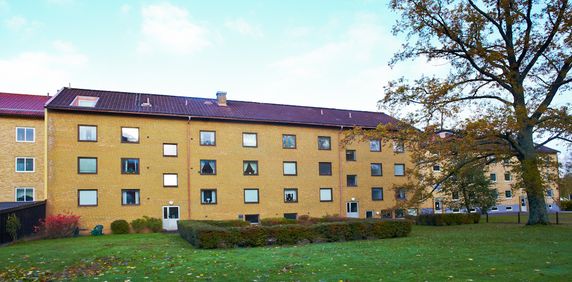 Norra Sjöbogatan, Borås - Foto 2