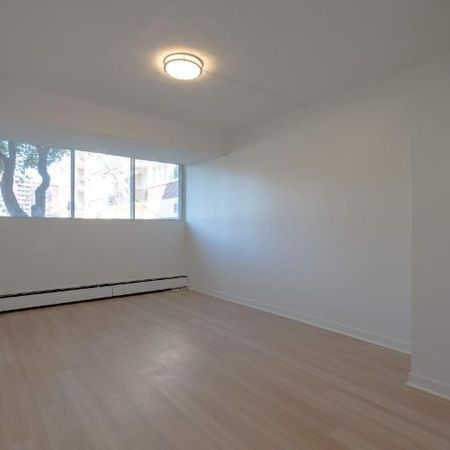 1 CH - 1 SDB - St-Laurent - $1,395 /mo - Photo 4