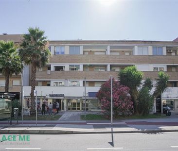 Arrendamento Apartamento T1 - Photo 5