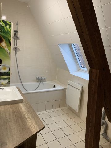 Location Appartement 4 pièces 77m² SARREGUEMINES 57200 - Photo 3