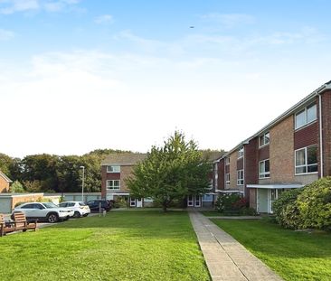 2 bedroom maisonette to rent Highcliffe, Christchurch, BH23 - Photo 6