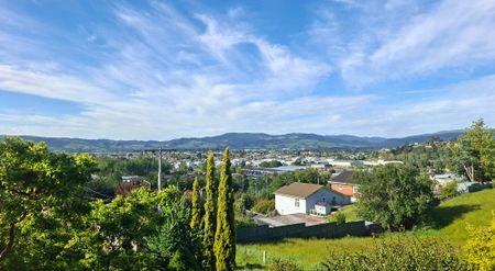 Amazing Lifestyle Location - Photo 3