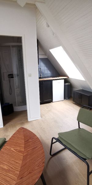Location Appartement 1 pièce 18m² - Photo 2