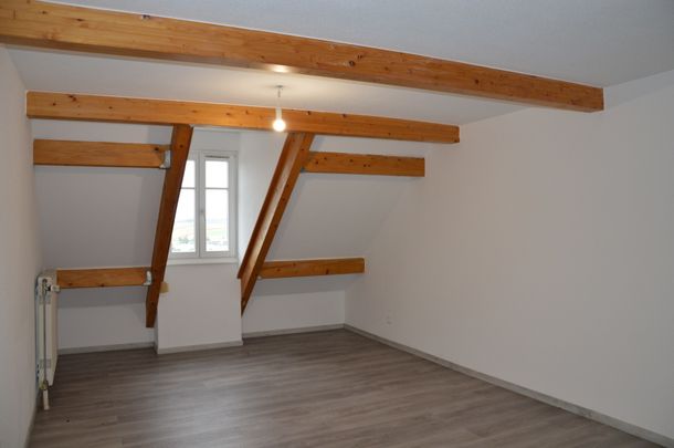 Location Appartement 3 pièces 74m² ALTKIRCH 68130 - Photo 1