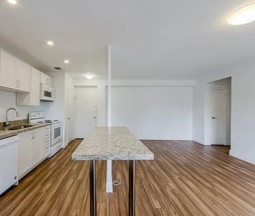 1 Bedroom Suite Steps from U of T - Photo 2