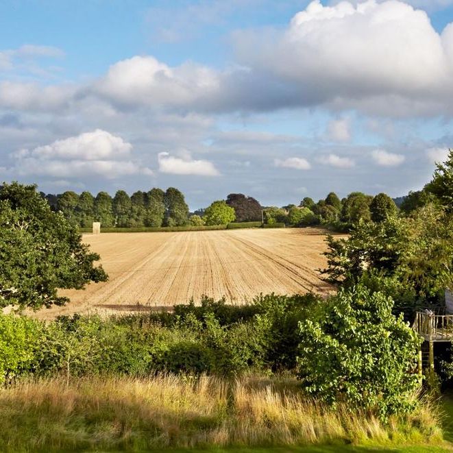 3 bedroom detached house to rent - Photo 1