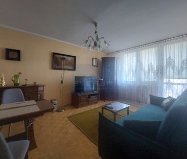 Mieszkanie na Wynajem, 51.00m - Zdjęcie 2