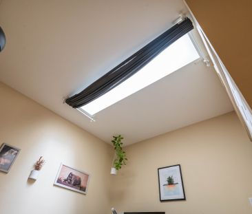 Rue St-Hubert, H2L 4A7, Montréal - Photo 6